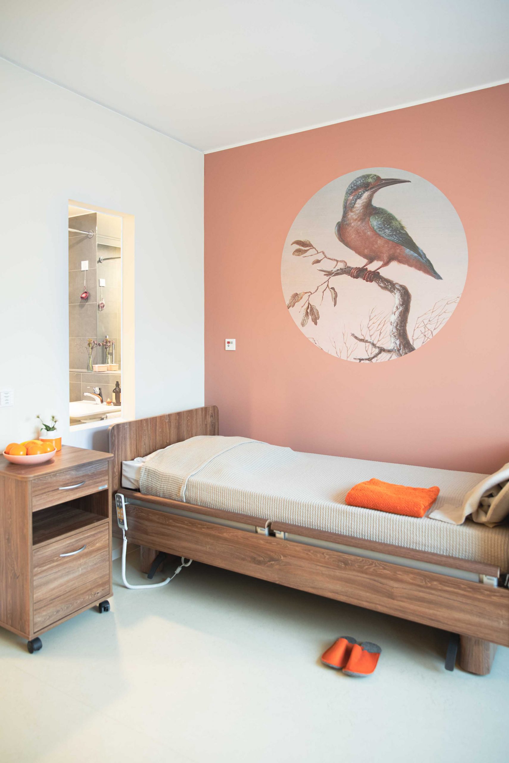 Bewohnerzimmer mit Eisvogel auf runder Tapete Blick ins beleuchtet Badezimmer